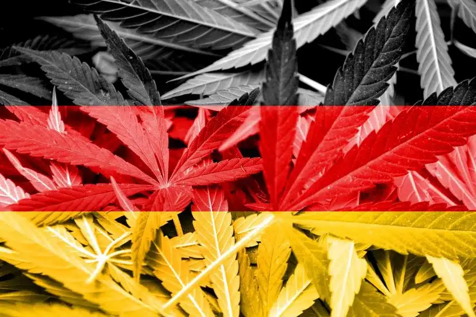 Germany Legalise Marijuana